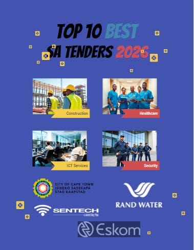 top 10 south african tenders february 2026 poster