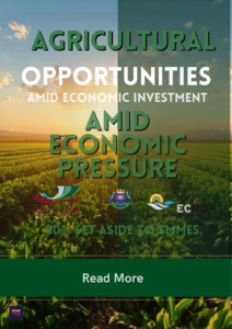 Home 1 Modern African Aesthetic Tender Poster